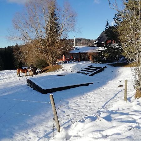 Penzion Farma U Mauritzů Stožec Esterno foto